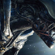 Imagen para el artículo titulado Sigourney Weaver también piensa que Alien v Predator fue una pésima idea